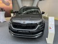 zdjęcie Kodiaq