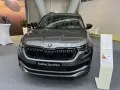 Skoda Kodiaq Kodiaq I (facelift 2021) — 14