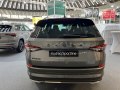 zdjęcie Kodiaq