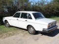 zdjęcie 240