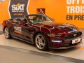 zdjęcie Mustang