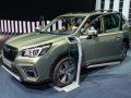 Forester V