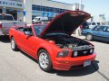 zdjęcie Mustang