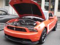 zdjęcie Mustang