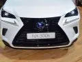Lexus NX NX I (AZ10, facelift 2017) — 10