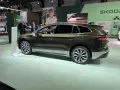 Skoda Enyaq Enyaq (facelift 2025) — 7