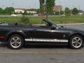 zdjęcie Mustang