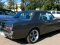 zdjęcie Mustang