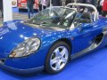 zdjęcie Sport Spider