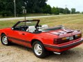 zdjęcie Mustang