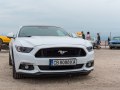 zdjęcie Mustang