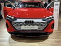 zdjęcie Q8 e-tron