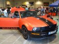 zdjęcie Mustang