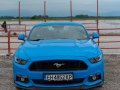 zdjęcie Mustang