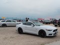 zdjęcie Mustang