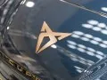 Cupra Born Born — 25