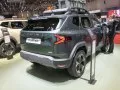 Dacia Duster Duster III — 24
