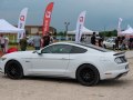 zdjęcie Mustang