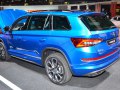 zdjęcie Kodiaq