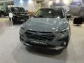 Subaru Crosstrek Crosstrek III — 10