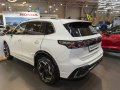 zdjęcie Tiguan