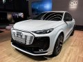 Q6 Sportback e-tron