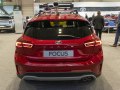 zdjęcie Focus