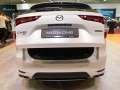zdjęcie CX-60