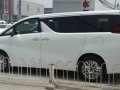 zdjęcie Alphard