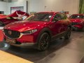 zdjęcie CX-30