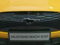 zdjęcie Mustang Mach-E