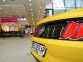 zdjęcie Mustang