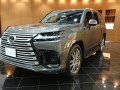 zdjęcie LX