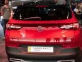 Opel Grandland Grandland X — 10