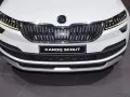 Skoda Karoq Karoq Scout — 13