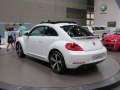 zdjęcie Beetle