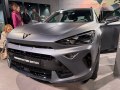 Cupra Formentor Formentor (facelift 2024) — 25