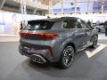 Cupra Terramar Terramar — 29