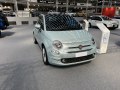 zdjęcie 500