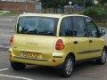 zdjęcie Multipla