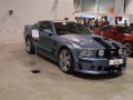 zdjęcie Mustang