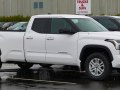Tundra III Double Cab Long Bed