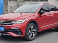 Tiguan X