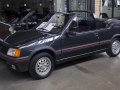 205 I Cabrio (741B,20D)