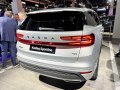 zdjęcie Kodiaq