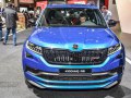 zdjęcie Kodiaq
