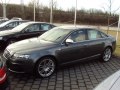 S6 (4F,C6)