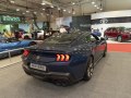 zdjęcie Mustang