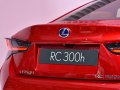 zdjęcie RC
