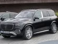 Mercedes-Benz GLS Maybach GLS (X167, facelift 2023) — 14